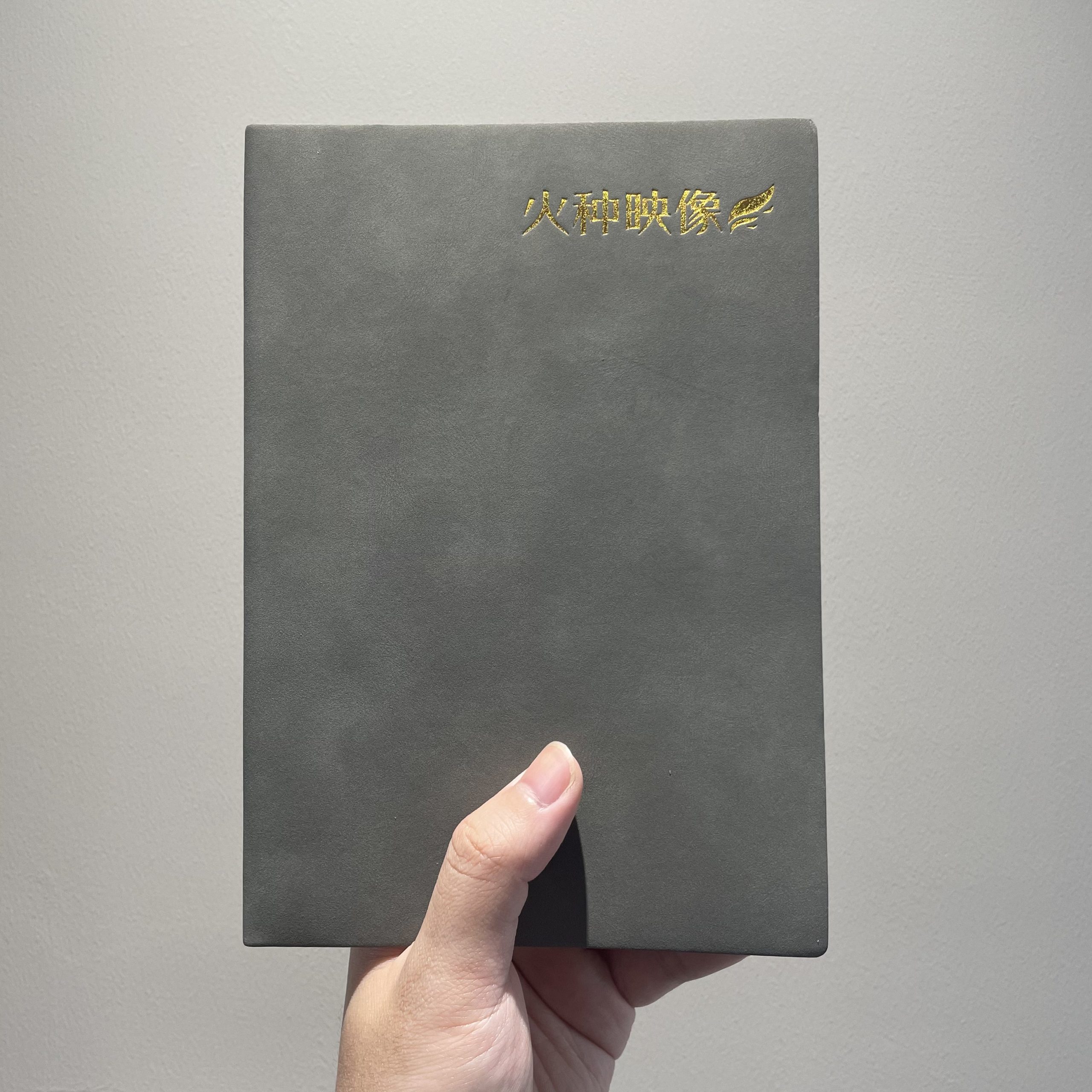 火种游戏
