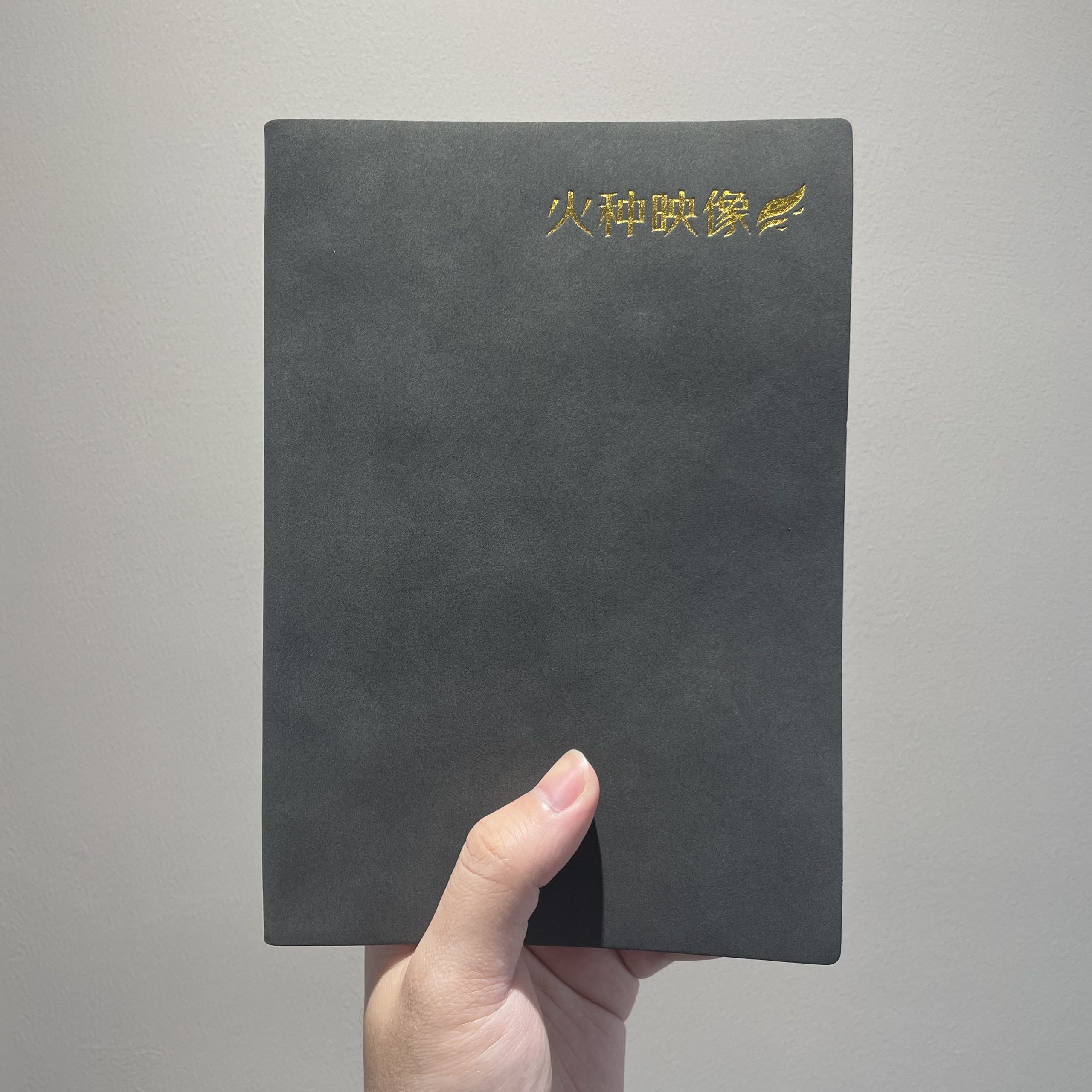 火种游戏