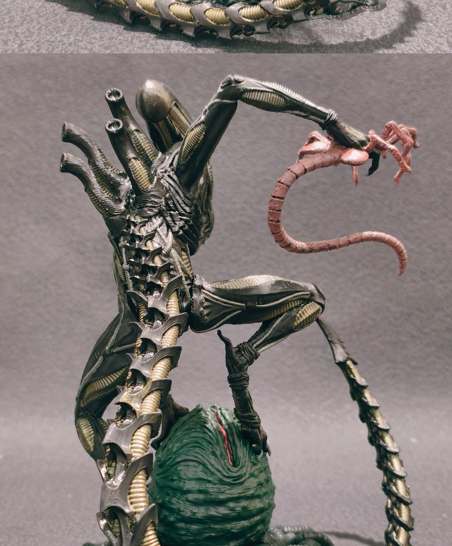 图片[7]-[积分兑换]异形手办模型抱脸虫摆件工艺品3D打印手绘上色作品-火种游戏